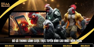 đá gà thomo 88aa